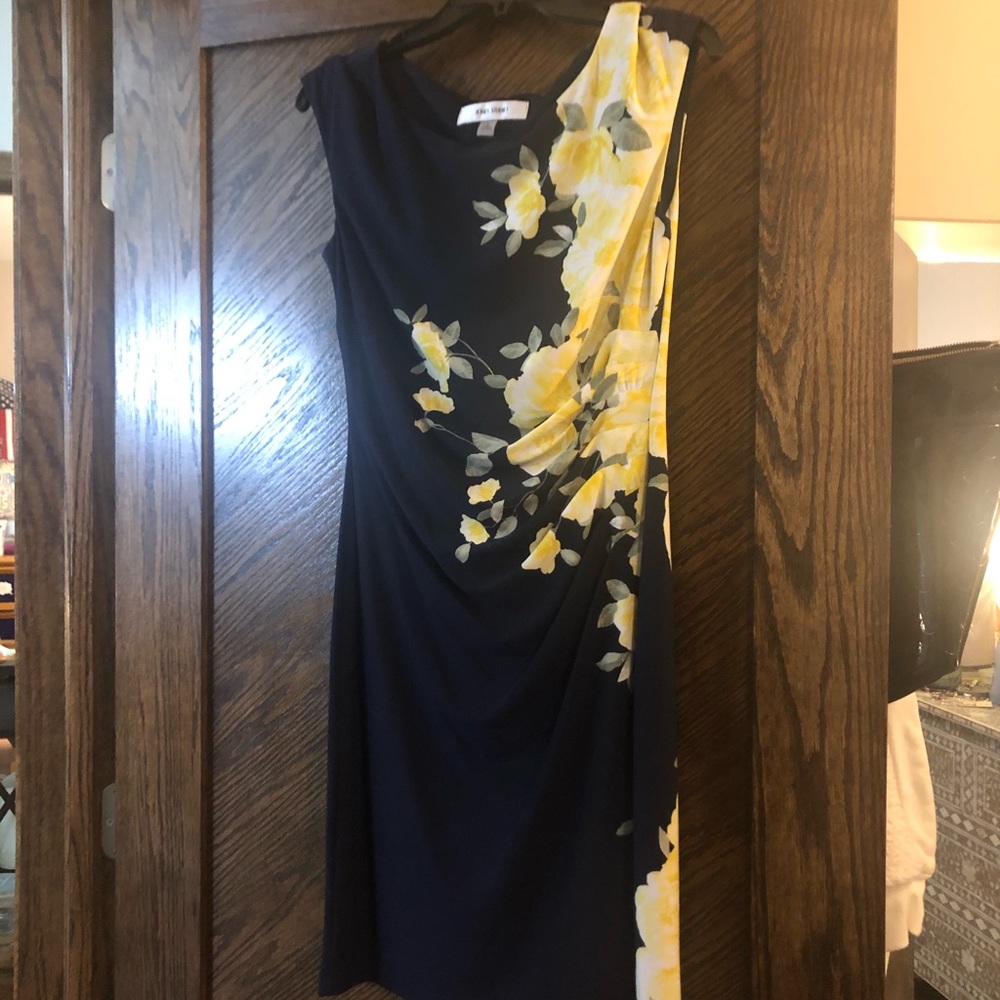 Jones Studio Dress EUC Sleeveless Summer